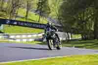 Lower Group Black Bikes